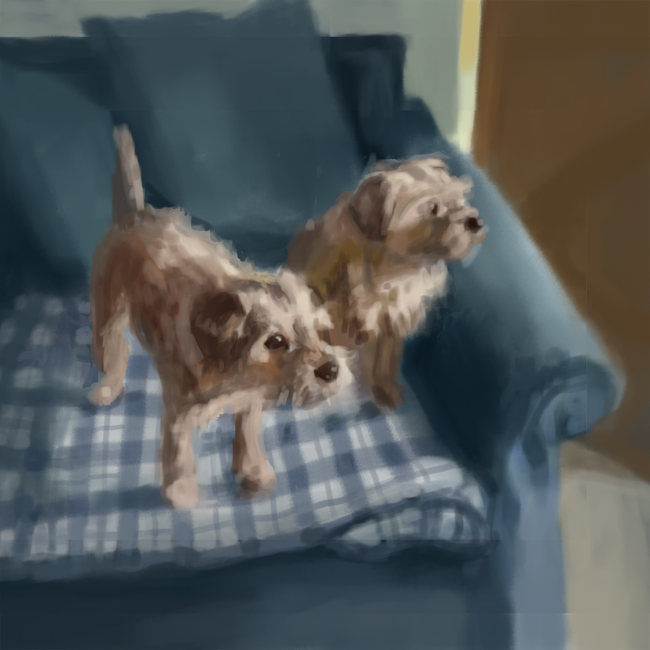 Two dogs expectantly sitting on a sofa
